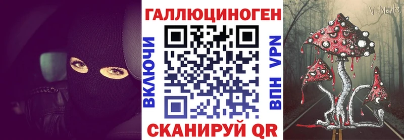 купить закладку  Рошаль  Псилоцибиновые грибы Cubensis 